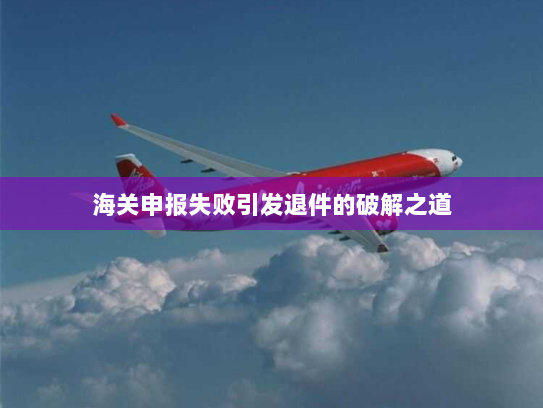 海关申报失败引发退件的破解之道 海关申报失败引发退件的破解之道