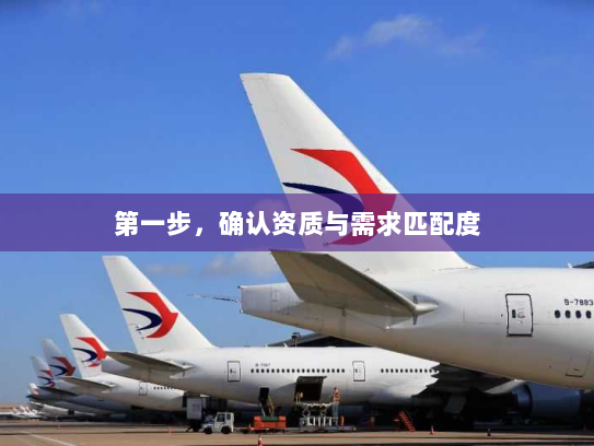 第一步,确认资质与需求匹配度 第一步,确认资质与需求匹配度
