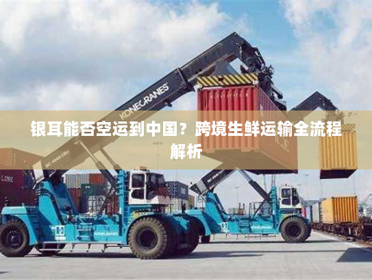 银耳能否空运到中国？跨境生鲜运输全流程解析