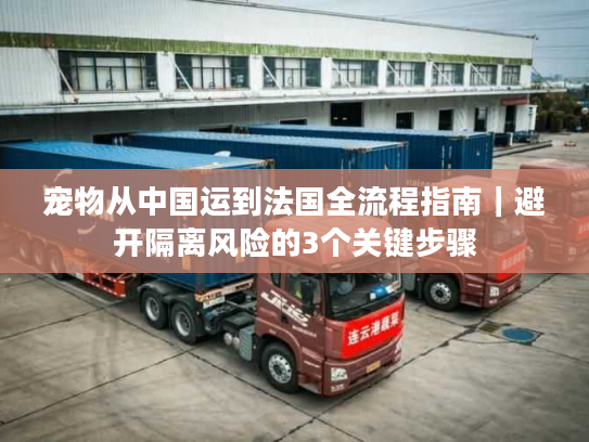 宠物从中国运到法国全流程指南｜避开隔离风险的3个关键步骤