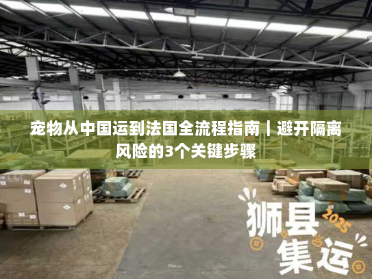 宠物从中国运到法国全流程指南｜避开隔离风险的3个关键步骤