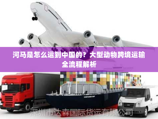 河马是怎么运到中国的？大型动物跨境运输全流程解析