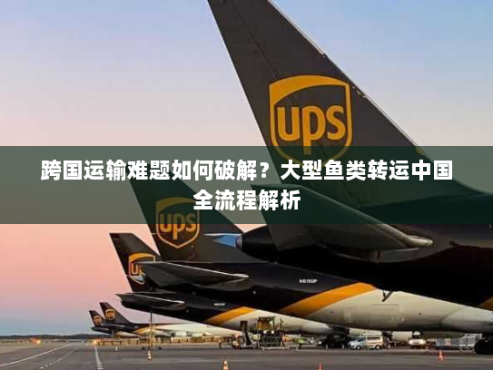 跨国运输难题如何破解?大型鱼类转运中国全流程解析 跨国运输难题如何破解?大型鱼类转运中国全流程解析