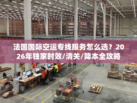 法国国际空运专线服务怎么选？2026年独家时效/清关/降本全攻略