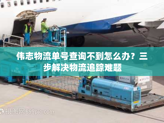 伟志物流单号查询不到怎么办?三步解决物流追踪难题 伟志物流单号查询不到怎么办?三步解决物流追踪难题