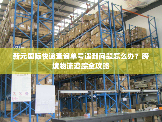 新元国际快递查询单号遇到问题怎么办？跨境物流追踪全攻略