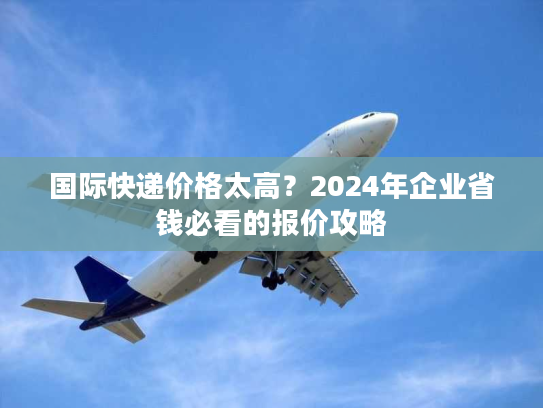国际快递价格太高?2024年企业省钱必看的报价攻略 国际快递价格太高?2024年企业省钱必看的报价攻略
