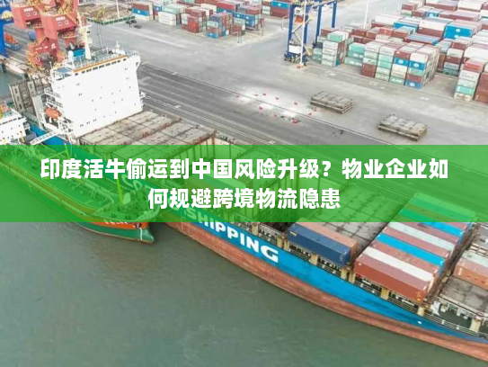 印度活牛偷运到中国风险升级?物业企业如何规避跨境物流隐患 印度活牛偷运到中国风险升级?物业企业如何规避跨境物流隐患