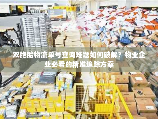 双胞胎物流单号查询难题如何破解?物业企业必看的精准追踪方案 双胞胎物流单号查询难题如何破解?物业企业必看的精准追踪方案