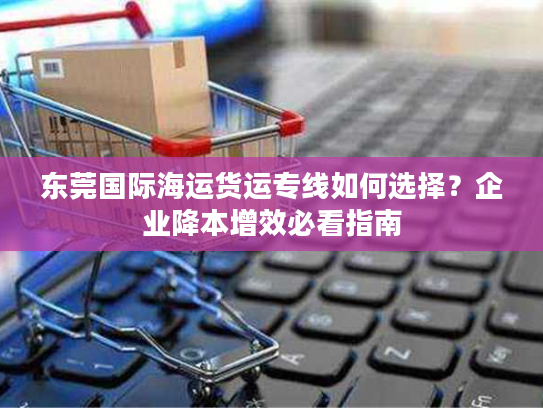 东莞国际海运货运专线如何选择？企业降本增效必看指南