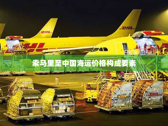 索马里至中国海运价格构成要素 索马里至中国海运价格构成要素