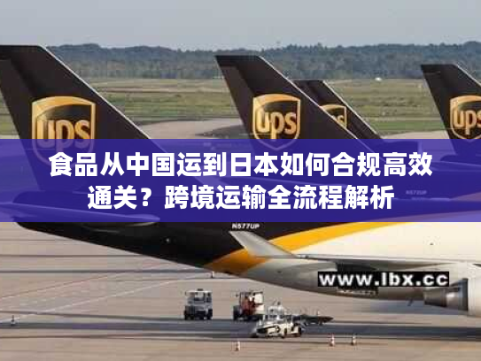 食品从中国运到日本如何合规高效通关？跨境运输全流程解析