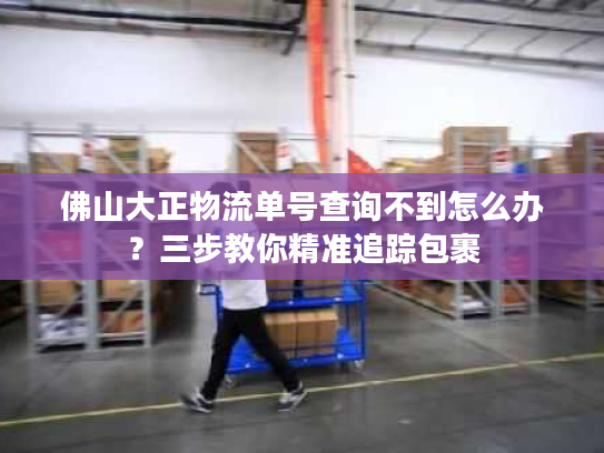 佛山大正物流单号查询不到怎么办?三步教你精准追踪包裹 佛山大正物流单号查询不到怎么办?三步教你精准追踪包裹