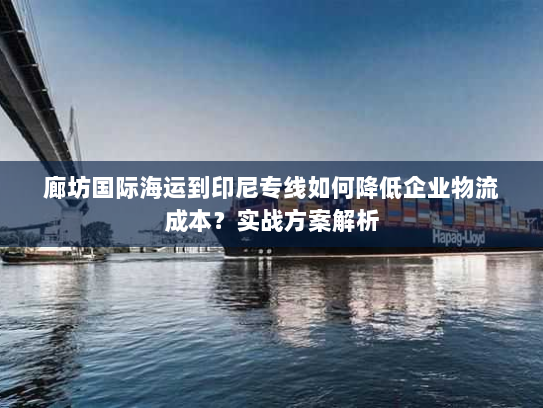 廊坊国际海运到印尼专线如何降低企业物流成本?实战方案解析 廊坊国际海运到印尼专线如何降低企业物流成本?实战方案解析