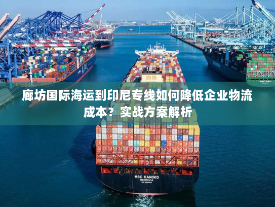 廊坊国际海运到印尼专线如何降低企业物流成本?实战方案解析 廊坊国际海运到印尼专线如何降低企业物流成本?实战方案解析