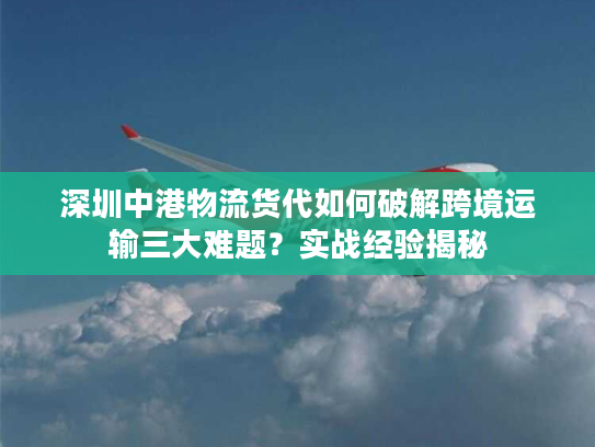 深圳中港物流货代如何破解跨境运输三大难题?实战经验揭秘 深圳中港物流货代如何破解跨境运输三大难题?实战经验揭秘