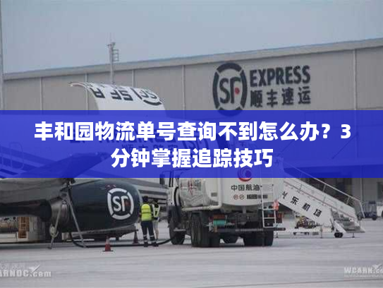 丰和园物流单号查询不到怎么办?3分钟掌握追踪技巧 丰和园物流单号查询不到怎么办?3分钟掌握追踪技巧