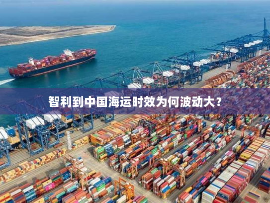 智利到中国海运时效为何波动大？