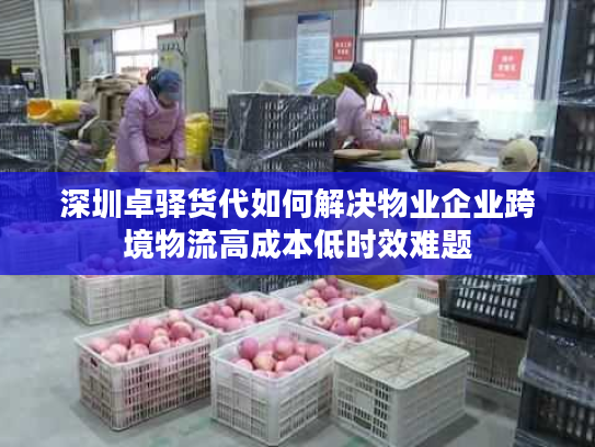 深圳卓驿货代如何解决物业企业跨境物流高成本低时效难题