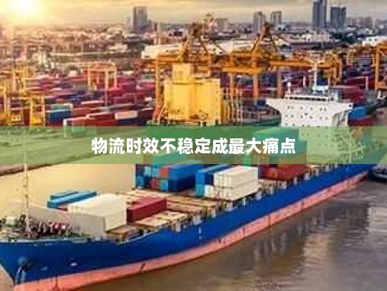物流时效不稳定成最大痛点 物流时效不稳定成最大痛点