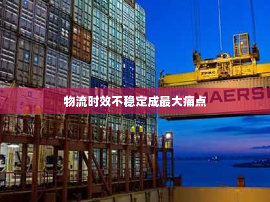 物流时效不稳定成最大痛点 物流时效不稳定成最大痛点
