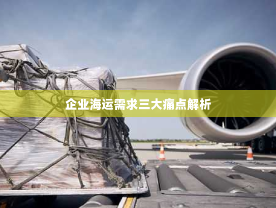 企业海运需求三大痛点解析 企业海运需求三大痛点解析