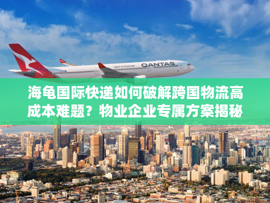 海龟国际快递如何破解跨国物流高成本难题？物业企业专属方案揭秘