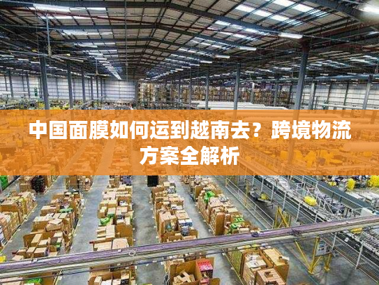中国面膜如何运到越南去？跨境物流方案全解析