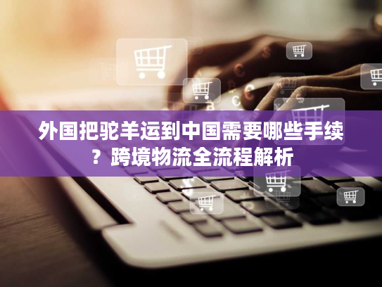 外国把驼羊运到中国需要哪些手续？跨境物流全流程解析