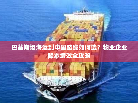 巴基斯坦海运到中国路线如何选?物业企业降本增效全攻略 巴基斯坦海运到中国路线如何选?物业企业降本增效全攻略
