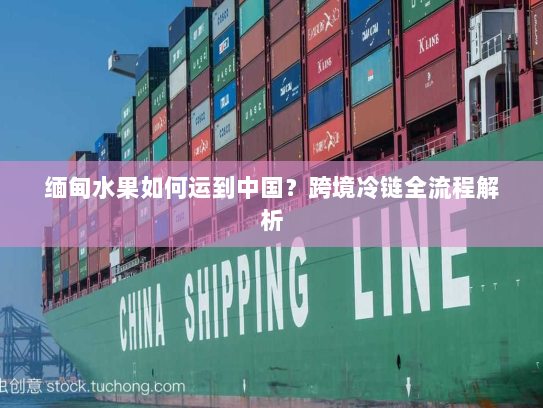 缅甸水果如何运到中国？跨境冷链全流程解析