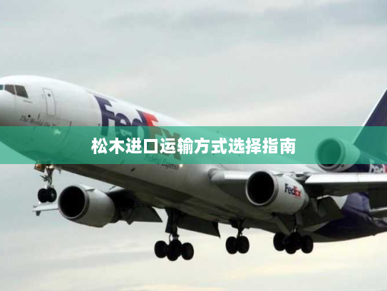 松木进口运输方式选择指南