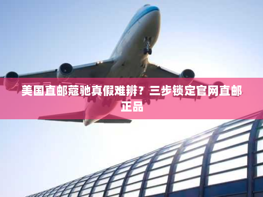 美国直邮蔻驰真假难辨？三步锁定官网直邮正品