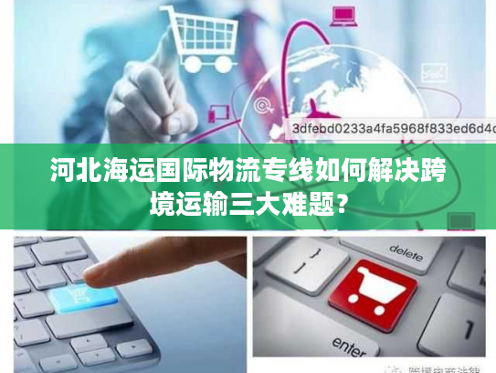 河北海运国际物流专线如何解决跨境运输三大难题？