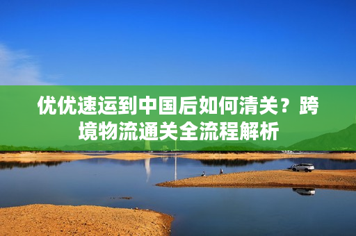 优优速运到中国后如何清关？跨境物流通关全流程解析