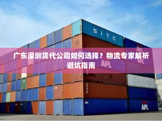 广东深圳货代公司如何选择?物流专家解析避坑指南 广东深圳货代公司如何选择?物流专家解析避坑指南