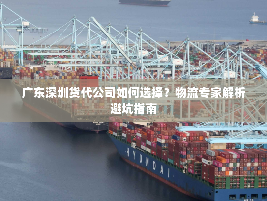 广东深圳货代公司如何选择?物流专家解析避坑指南 广东深圳货代公司如何选择?物流专家解析避坑指南