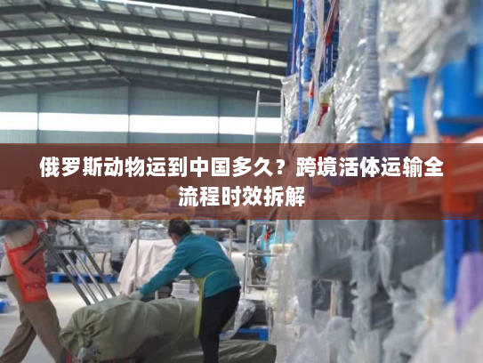 俄罗斯动物运到中国多久?跨境活体运输全流程时效拆解 俄罗斯动物运到中国多久?跨境活体运输全流程时效拆解