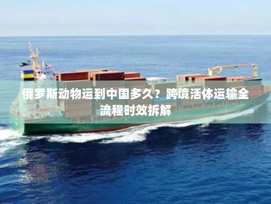 俄罗斯动物运到中国多久?跨境活体运输全流程时效拆解 俄罗斯动物运到中国多久?跨境活体运输全流程时效拆解