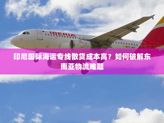 印尼国际海运专线散货成本高？如何破解东南亚物流难题