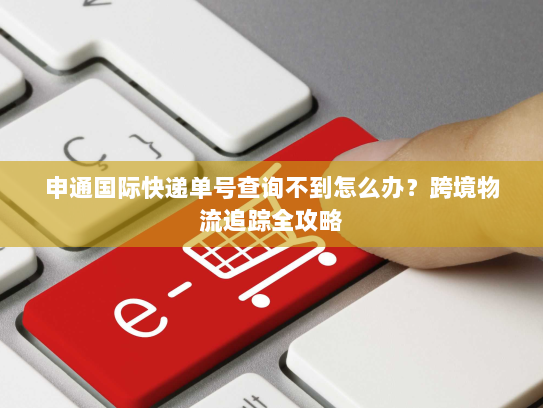 申通国际快递单号查询不到怎么办?跨境物流追踪全攻略 申通国际快递单号查询不到怎么办?跨境物流追踪全攻略
