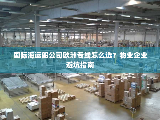 国际海运船公司欧洲专线怎么选?物业企业避坑指南 国际海运船公司欧洲专线怎么选?物业企业避坑指南