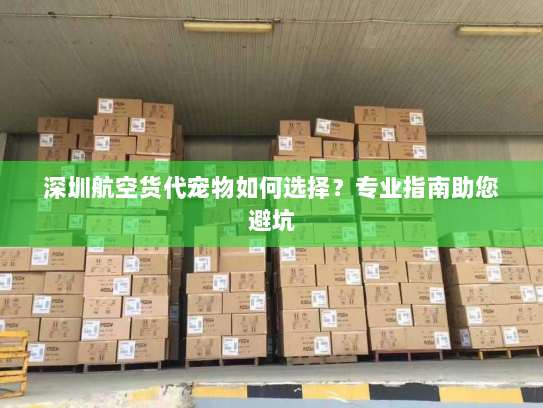 深圳航空货代宠物如何选择?专业指南助您避坑 深圳航空货代宠物如何选择?专业指南助您避坑