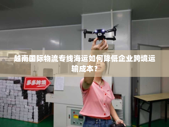 越南国际物流专线海运如何降低企业跨境运输成本? 越南国际物流专线海运如何降低企业跨境运输成本?