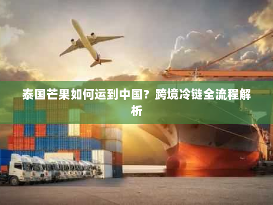 泰国芒果如何运到中国?跨境冷链全流程解析 泰国芒果如何运到中国?跨境冷链全流程解析