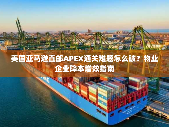 美国亚马逊直邮APEX通关难题怎么破?物业企业降本增效指南 美国亚马逊直邮APEX通关难题怎么破?物业企业降本增效指南
