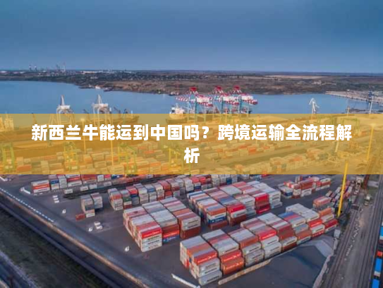 新西兰牛能运到中国吗？跨境运输全流程解析