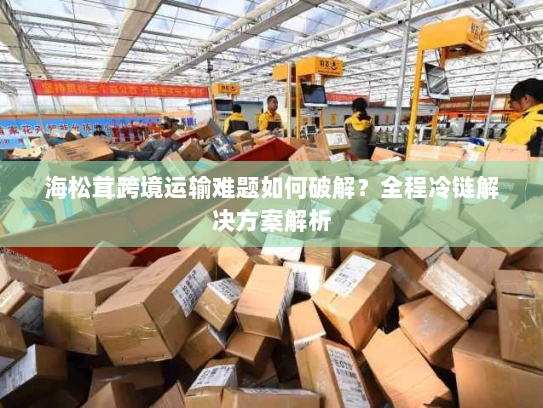 海松茸跨境运输难题如何破解?全程冷链解决方案解析 海松茸跨境运输难题如何破解?全程冷链解决方案解析