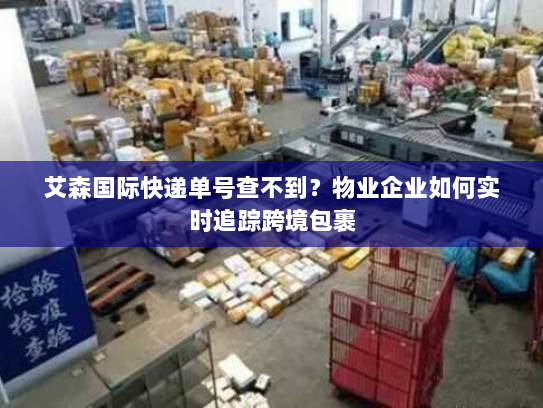 艾森国际快递单号查不到?物业企业如何实时追踪跨境包裹 艾森国际快递单号查不到?物业企业如何实时追踪跨境包裹