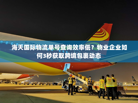 海天国际物流单号查询效率低?物业企业如何3秒获取跨境包裹动态 海天国际物流单号查询效率低?物业企业如何3秒获取跨境包裹动态
